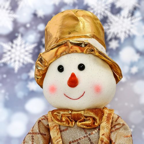 Գ���� �������� "Snowman" 51��