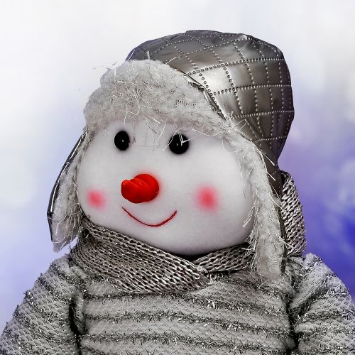 Գ���� �������� "Santa&Co" 51��