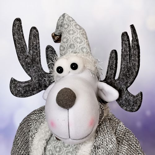 Գ���� �������� "Santa&Co" 51��