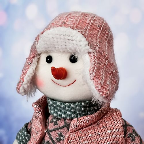 Գ���� �������� "Snowman" 50��