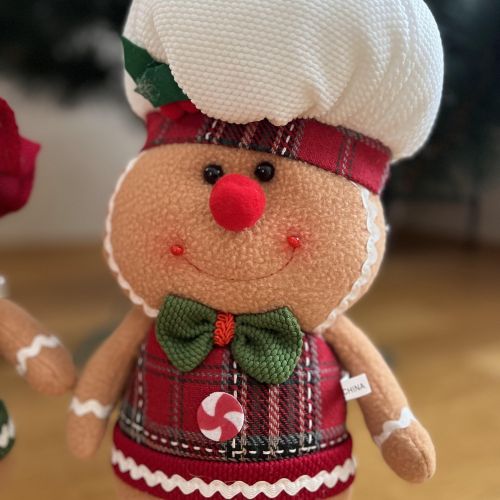 ������ ���������� "Gingerbread Man" 38��