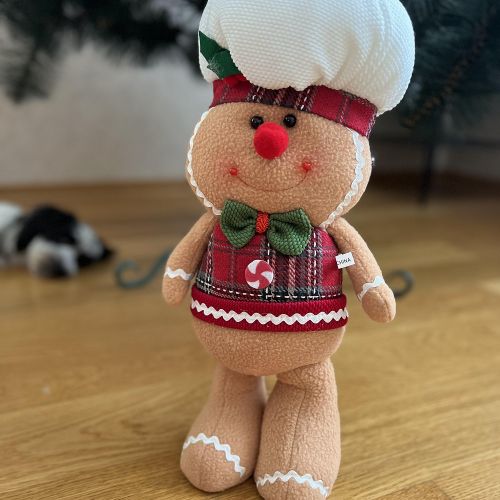 ������ ���������� "Gingerbread Man" 38��