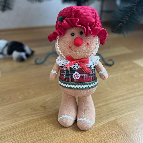 ������ ���������� "Gingerbread Man" 38��