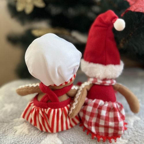 ������ ���������� "Gingerbread Man" 38��