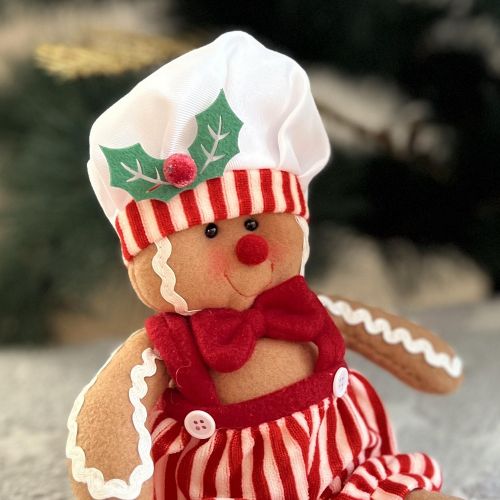 ������ ���������� "Gingerbread Man" 38��