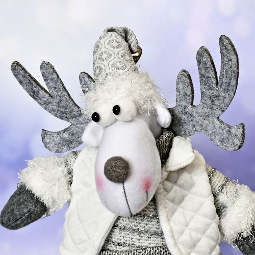 ������ ���������� "Santa&Co" 47��