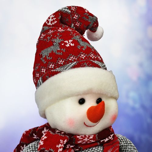 ������ ���������� "Snowman" 46-85�� (����-��������)
