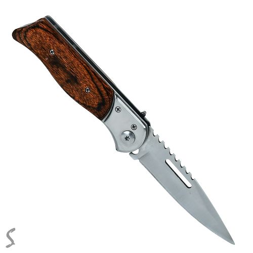 ��� �������� "Aegis" 24��