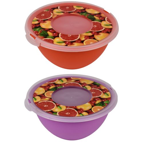 �����-��������� � ������� "Bon Appetit" 2.0� 22*22*10��
