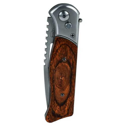 ��� �������� "Aegis" 24��