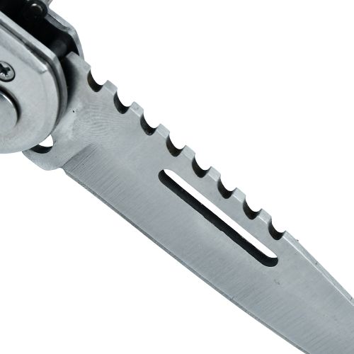 ��� �������� "Aegis" 24��