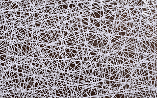 LACE