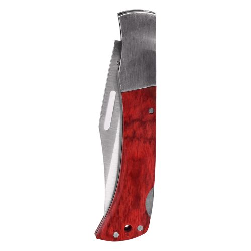 ͳ� ��������� "Reven" 21��