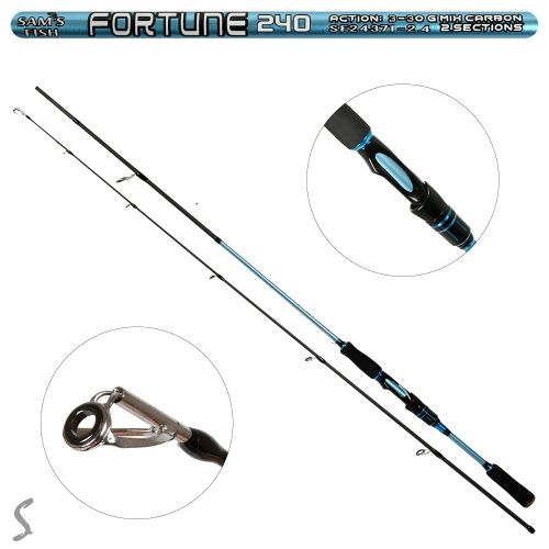 ������ ��������� ���� �� ������ "Fortune" 2.4� 3-30�