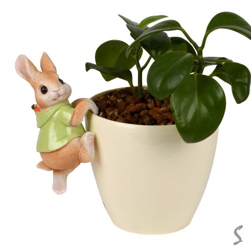 ������� ��� ���������� ������ "Rabbit" 17��