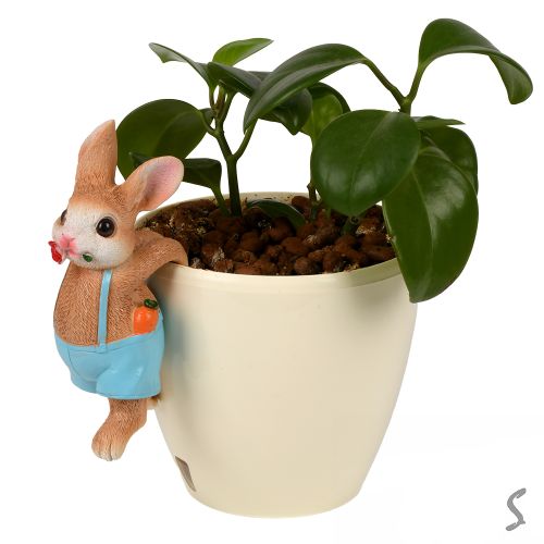 ������� ��� ���������� ������ "Rabbit" 17��