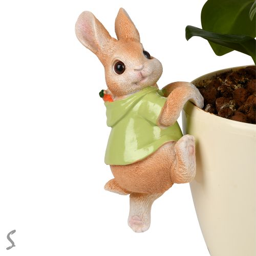 ������� ��� ���������� ������ "Rabbit" 17��