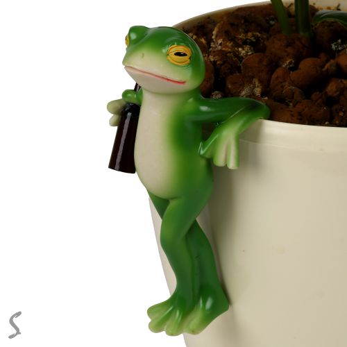 ������� ��� ���������� ������ "Funny frog" 12��