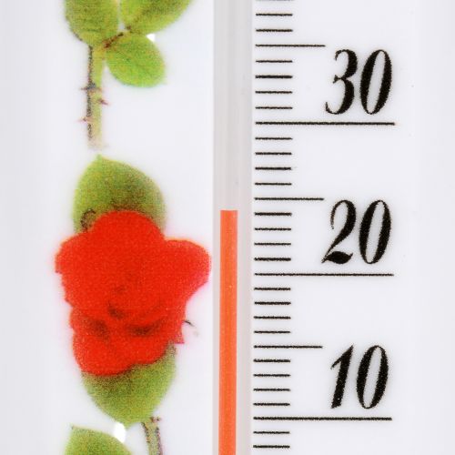 ��������� ������� 19.5��