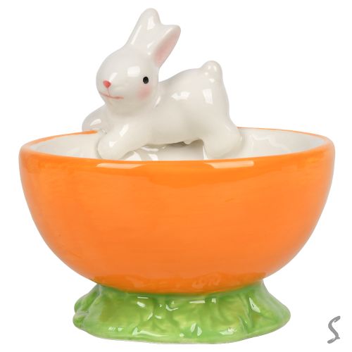 ���������� ���������� "Carrot" 11.5*11��