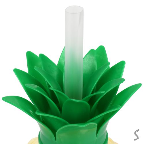 ������� � ������� �� ��������� "Pineapple" 500��