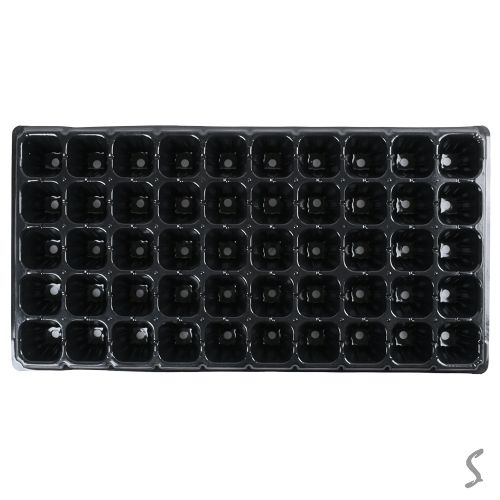 ������ ��� ������� 50�� 100�