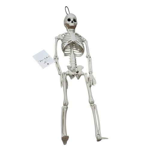 ������ ��������� ��� ��������� "Skeleton" 40��