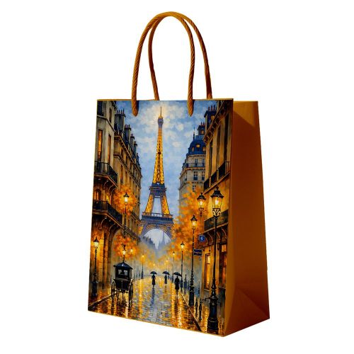 ����� ������������ ��������� XL "Paris" 45*35*10��