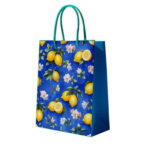 ����� ������������ ��������� XL "Lemons" 45*35*10��