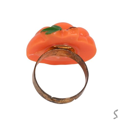 ��������� ��� ��������� ������������ ������ "Ring" 2.2��